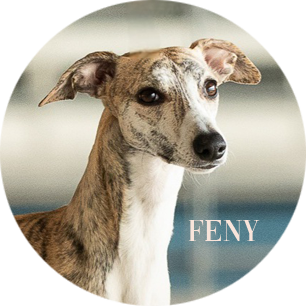 feny